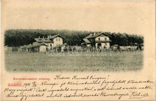 1901 Gödöllő, Koronauradalmi méhtelep, méhészet (EK)