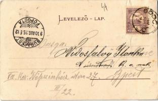 1900 Gödöllő, Ferenc József tér, Református templom, Spitzer Izrael üzlete. Ripka F. "Gödöllő&q...