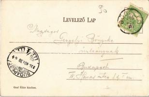 1906 Gödöllő, Váci utca, Kir. Járásbíróság, helyiek az utcán. Kiadja Graf Éliás (felületi sérülés / ...