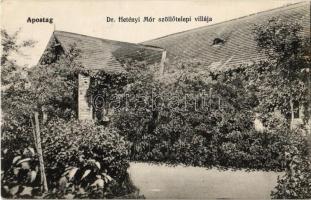 Apostag, Dr. Hetényi Mór szőlőtelepi villája (gyűrődés / crease)