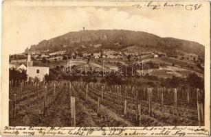 1905 Badacsony, látkép, szőlőskertek. Kiadja Mérei Ignác 33. sz.