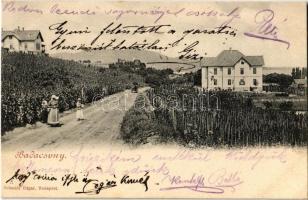 1901 Badacsony, utca a szőlőhegyekkel, villával