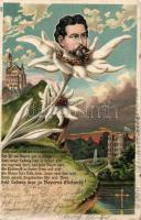 King Ludwig II. Litho