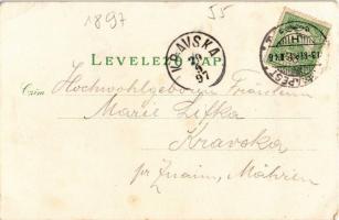 1897 (Vorläufer!) Budapest, Császár fürdő, Ferenc József rakpart, Gellérthegy. Kunstanstalt Rosenbla...