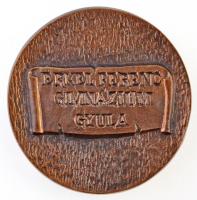 Kiss László (1949-) 1993.(?) "Ökrös Botond Emlékérem / Erkel Ferenc Gimnázium Gyula" kétol...