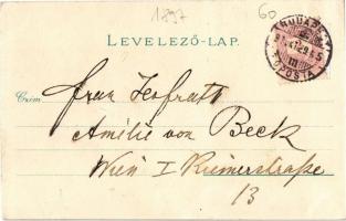 1897 (Vorläufer!) Budapest, Királyi vár és várbazár, Lánchíd, Szent Gellérthegy, Tabán városrész, Sz...