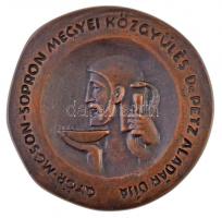 Renner Kálmán (1927-1994) DN "Dr. Petz Aladár 1888-1956 / Győr-Moson-Sopron Megyei Közgyűlés Dr...