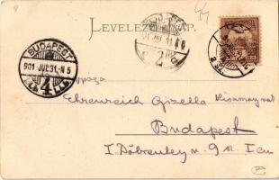 1901 Verőce, Nógrádverőce; Dunapart, villák. Kiadja Kopunecz József (EK)