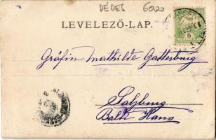 Dédes, Dédestapolcsány; Gróf Serényi István kastélya. photo (EK)