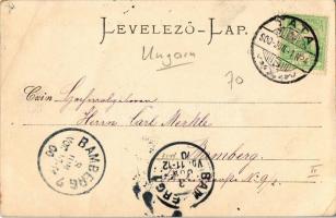 1900 Felsőgalla (Tatabánya), Kőszénbánya, Tiszti kaszinó, Bányafelügyelői lak. Kiadja Strausz Jakab....