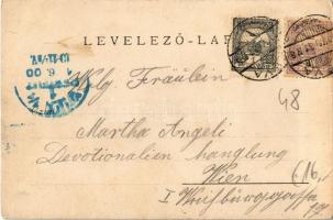 1900 Déva, Fő utca, vár, Pap Jenő, Lengyel és Schuleri Fritz üzlete / main street with shops, castle...