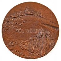 DN "Rákóczi Mezeje MGTSZ - Romhány" kétoldalas, öntött Br plakett. Szign.: KENÉZ (94mm) T:...