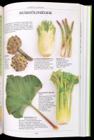 Hamilton, Geoff: Az élet kertje. A biokertészet kézikönyve. Bp., 1990, Officina Nova. Kiadói  karton...