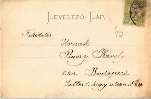 1904 Trencsén, Trencín; utcakép, Kegytemplom a Várdombon. Gansel Lipót 180. / street view, church, c...