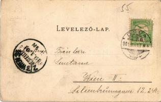 1901 Déva, Deva; utcakép, Református templom, Vármegyeháza. Kiadja Hirsch Adolf  / street view, Calv...