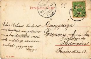 1908 Bethlen, Beclean;  M. kir. állami elemi iskola. W. L. 1895. / elementary school (EK)