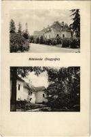 Miklósvár, Miclosoara; Kálnoky kastély / castle (EK)