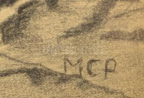 MCP jelzéssel: Hegycsúcsok. Ceruza, papír, üvegezett keretben, 28×41 cm