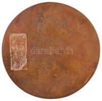 DN "Czóbel 1883-1983" egyoldalas, öntött Br plakett. Szign.: RP (118mm) T:1- kis patina