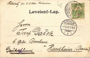 1902 Szászváros, Broos, Orastie; Iskola tér, Evangélikus templom, Gyógyszertár. Kiadja Schuller A. /...