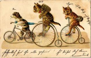 1902 Cats and dog on bicycles. Emb. litho (EK)