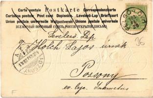 1902 Cats and dog on bicycles. Emb. litho (EK)