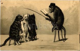 1902 Monkey reading to the cats. Emb. litho