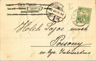 1902 Monkey reading to the cats. Emb. litho