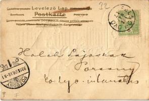 1902 Cats with baskets. Emb. litho (EK)