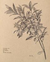 1899 The Artist. An Illustrated Monthly record of arts, craft, and industries. Vol.XXII. No. 223. 18...