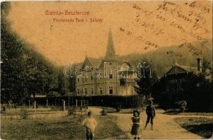 1907 Beszterce, Bistritz, Bistrita; Sétatér. W.L. (?) No. 403. / promenade park (EB)