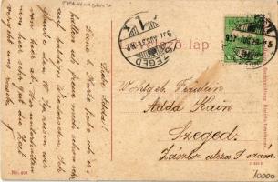 1907 Beszterce, Bistritz, Bistrita; Sétatér. W.L. (?) No. 403. / promenade park (EB)