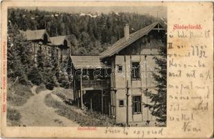 1910 Stószfürdő, Stoósz-fürdő, Kúpele Stós; nyaralók / villas (Rb)
