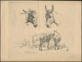 9 db különféle nyomat, rézkarc: illusztrációk, látképek, stb., különböző méretben