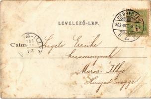 1903 Debrecen, Piac utca felső része, Rohner szálloda, üzletek, Kereskedelmi és Iparkamara. Kiadja M...