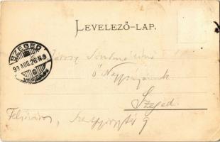 1899 Szentes,  Körös-Tisza-Maros Ármentesítő és Belvízszabályozó Társulat székhelye, Csongrád vármeg...