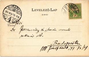 1904 Kalocsa, Főszékesegyház. Art Nouveau, floral