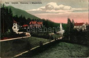 Tátraszéplak, Weszterheim, Tatranská Polianka; nyaralók. Feitzinger Ede No. 758. L. / villas
