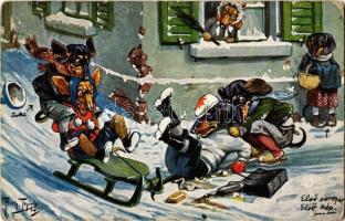 Dogs sledding in winter. T.S.N. Serie 1195. s: Arthur Thiele (EK)
