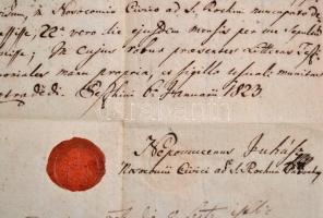 1823 Pest, Juhász Nepomuk János, a Szent Rókus plébánián működő kórház káplánjának igazolása selmecb...