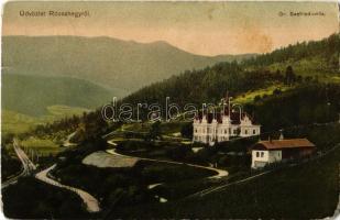 1914 Rózsahegy, Ruzomberok; Gróf Seefried villa. Komor Testvérek kiadása / villa, castle (kis sarokhiány / small corner shortage)