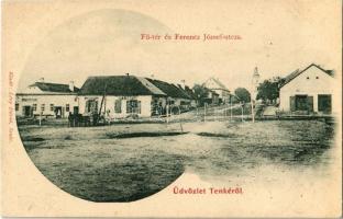 1901 Tenke, Tinca; Fő tér, Ferenc József utca, Vasraktár, Rosenfeld Lajos és Lévy Dávid üzlete / street view with shops