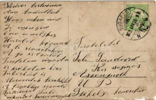 1909 Budapest VI. Hajnal Izidor üzlete, Bensdorp Cacao és Dreher Antal féle palackozott sör kapható,...