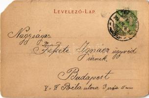 1904 Trencsén, Trencín; Erzsébet szálloda, mögötte a vár. Kiadja Gansel Lipót 366. / Trenciansky hra...