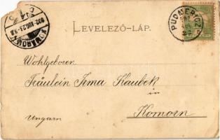 1902 Gidrafa, Pudmericz, Pudmeric, Budmerice; Gróf Pálffy kastély, művészlap / castle, art postcard ...