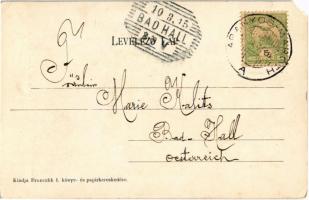 1905 Aranyosmarót, Zlaté Moravce; Park. Kiadja Brunczlik I. / park, alley (EM)