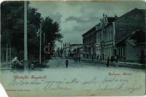 1899 Kassa, Kosice; Rákóczi körút. Kiadja Szentistványi Júlia / street view (EM)