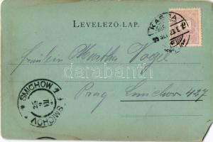 1899 Kassa, Kosice; Rákóczi körút. Kiadja Szentistványi Júlia / street view (EM)