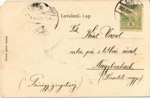 1905 Léva, Levice; Vasútállomás, vagon. Kiadja Schulcz Ignác / Bahnhof / railway station, wagon (EM)