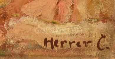 Herrer jelzéssel: Sziklás part. Olaj, karton, kopott, 35×30 cm